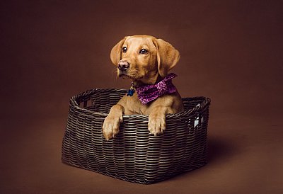 40_210710_Price.jpeg